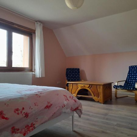 Appart 4 Pers Refait Neuf 90M2 Avec Balcon Baldenheim Zewnętrze zdjęcie