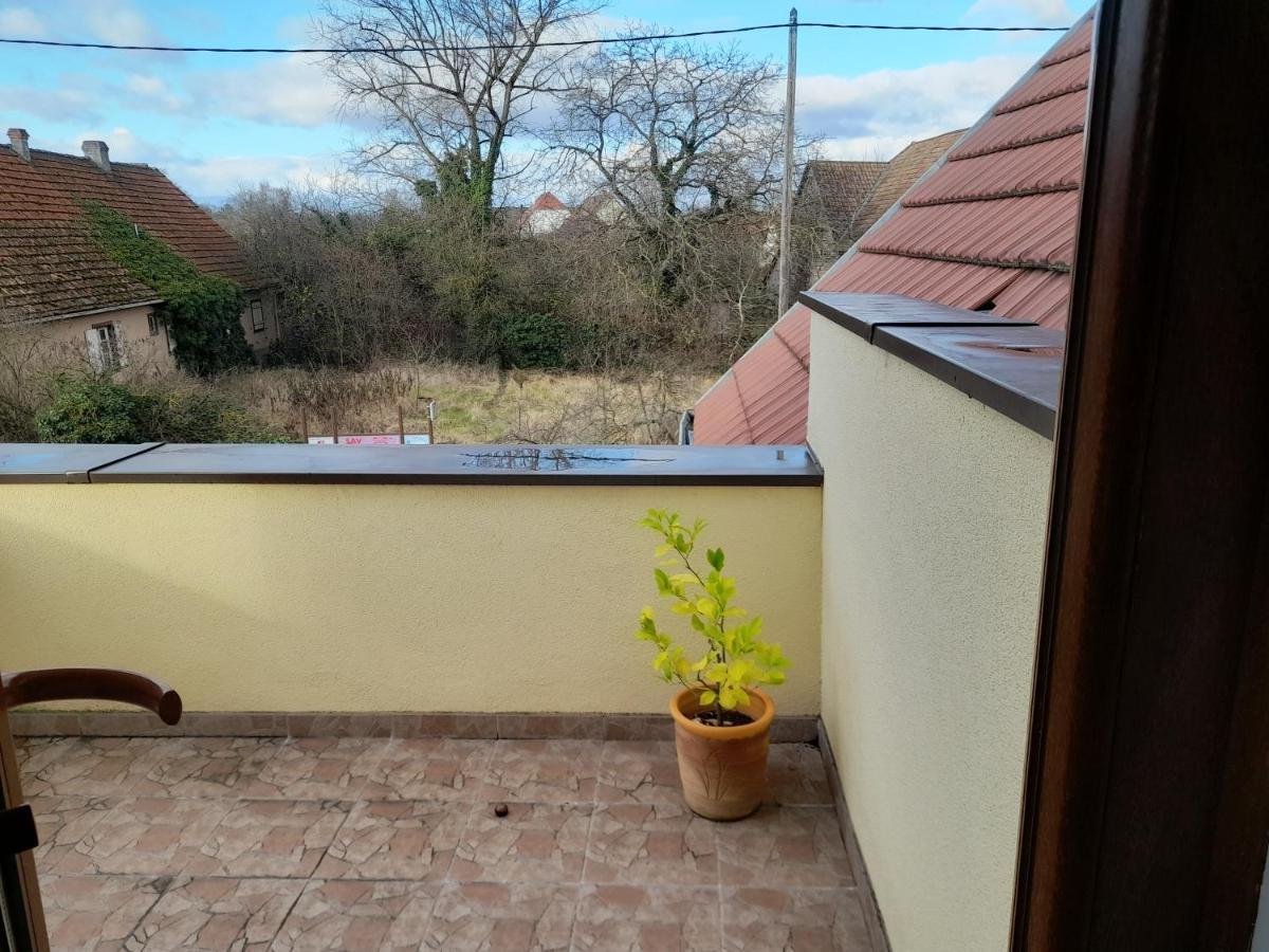 Appart 4 Pers Refait Neuf 90M2 Avec Balcon Baldenheim Zewnętrze zdjęcie