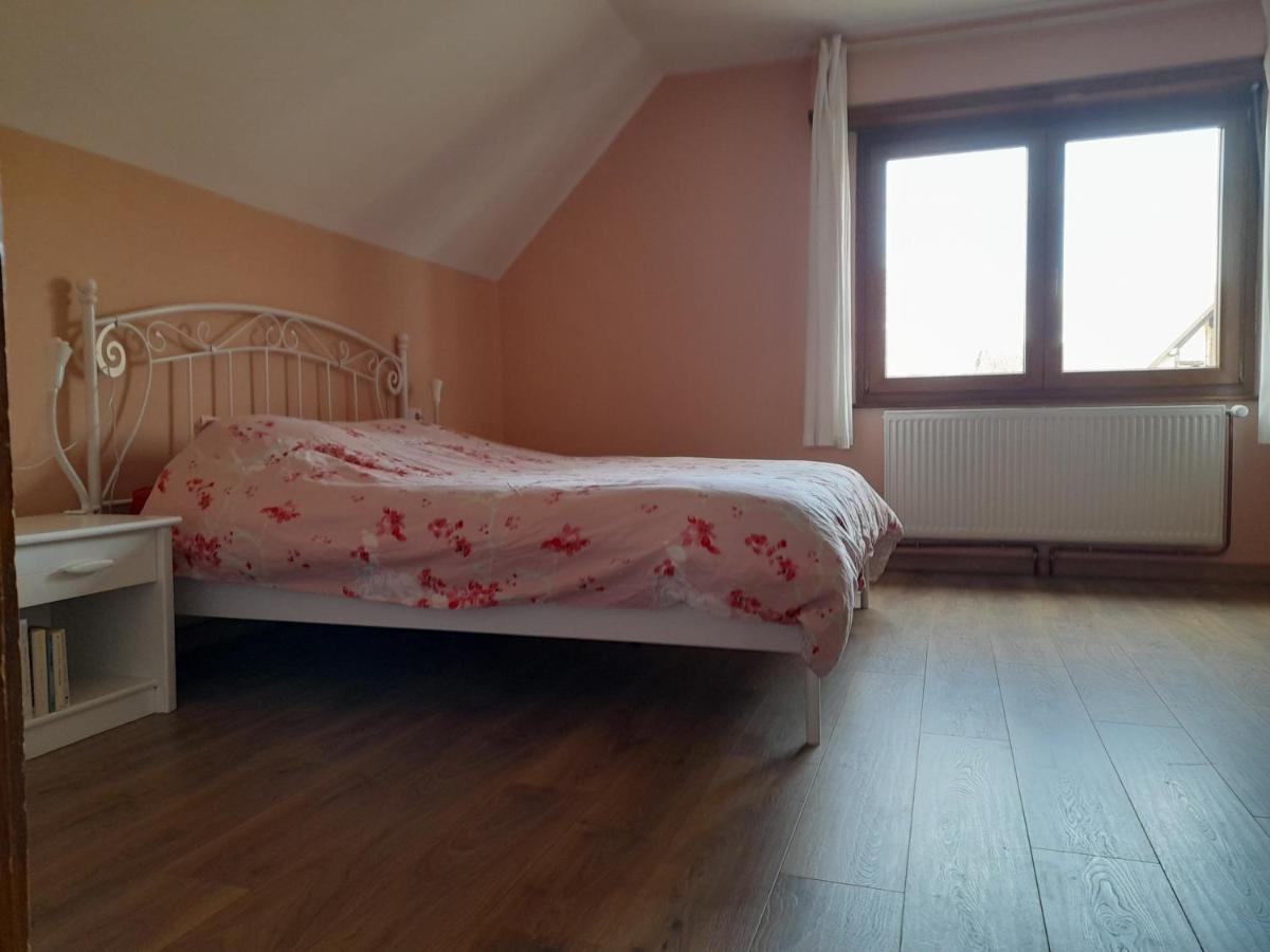Appart 4 Pers Refait Neuf 90M2 Avec Balcon Baldenheim Zewnętrze zdjęcie