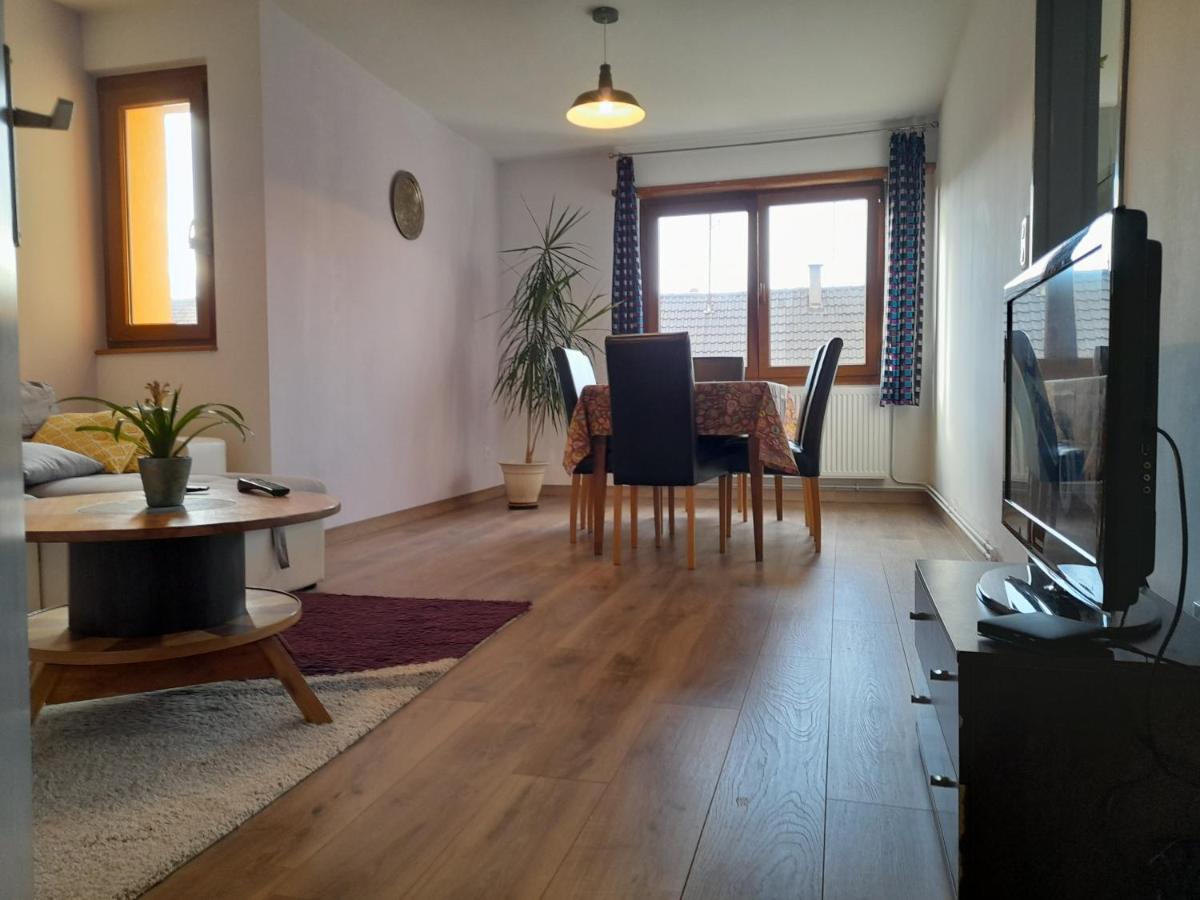 Appart 4 Pers Refait Neuf 90M2 Avec Balcon Baldenheim Zewnętrze zdjęcie